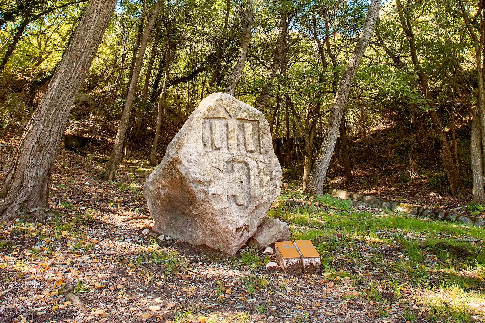 Bašćanska staza glagoljice