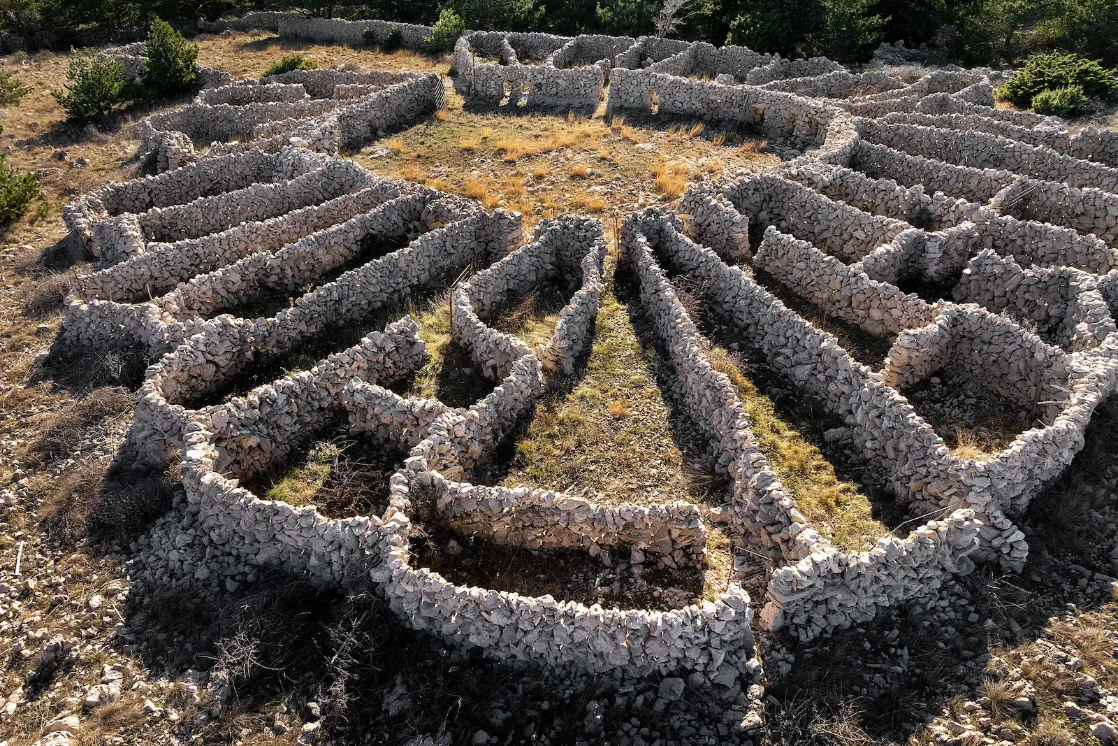 Mrgari na Starošćini